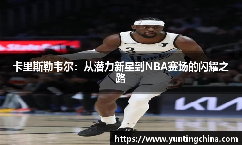 彩神彩票vIII
