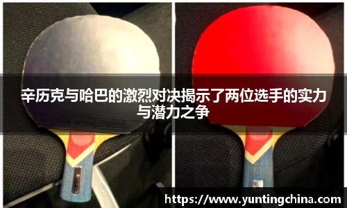 彩神VI首页